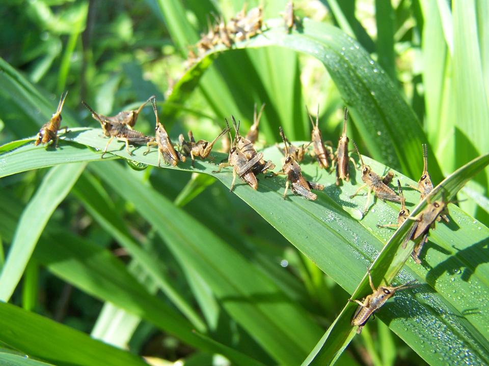 FIGURE 9 FIGURE 9